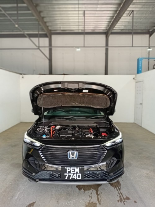 Alternate Text